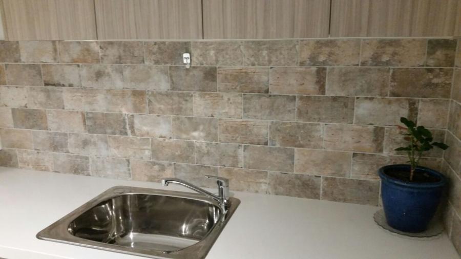 Compact laundry benchtop with stainless steel sink, tiled splashback and potted plant