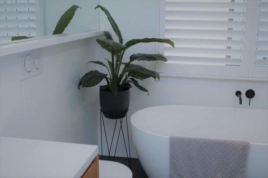 Modern white bathroom with freestanding bath, timber vanity and indoor plant
