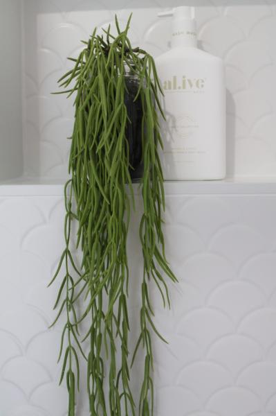 Trailing green plant beside a white bottle on a tiled bathroom shelf