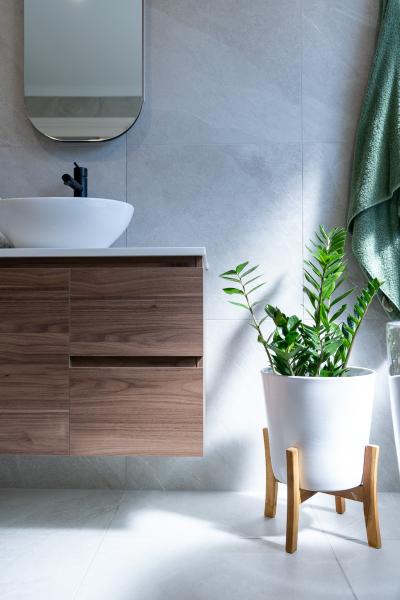 Floating timber vanity with vessel basin beside indoor plant in a modern bathroom