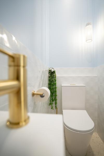 Modern white toilet room with brushed brass tapware and wall light