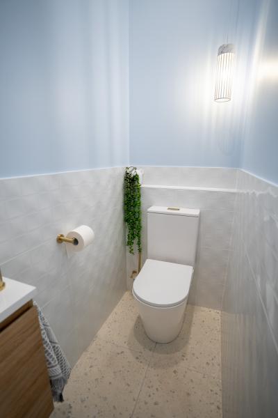 Compact modern toilet room with wall tiles, concealed cistern style toilet and brass toilet roll holder