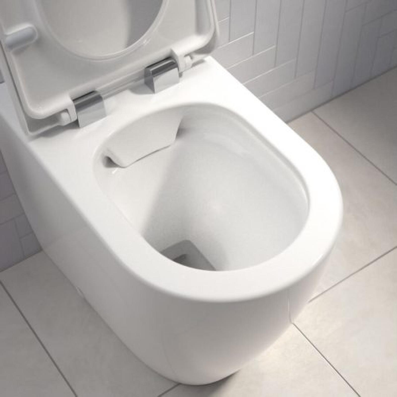 Web_1200x900-Caroma-Forma-Close-Coupled-Back-To-Wall-Over-Height-Rimless-Toilet-Suite-with-Soft-Close-Quick-Release-Seat-White-4-Star--500x500.jpg